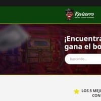 Revizorro Org