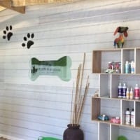 Puppy Play Ground