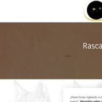 Rascadores Gatos