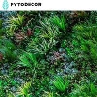 Fytodecor Com