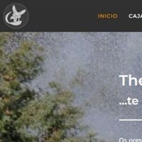 The Nomad Fox