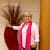 M. Dolores  Moraga