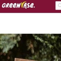 Green Vase