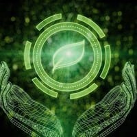 Ecoex Market