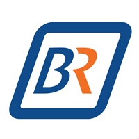 bluerhine store