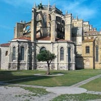 cerinegra