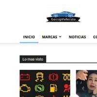 Gossip Vehiculos