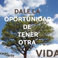 viviana de lacruz barrios