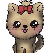 Paloma González Fernández