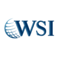Digital Dynamics WSI