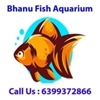 Bhanu Fish Aquarium