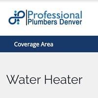professional plumbers