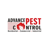 Advance Pest   Control