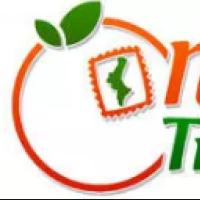 Naranjas Tradicionales