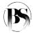 BS Website Designer Noida