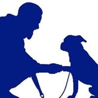 Educador canino
