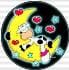 dachi2mr