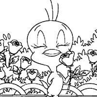 marta fernandez garcia