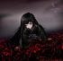 darksweet4