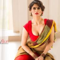 Udaipur Escort