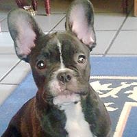 Miguel Angel Miranda Cazorla