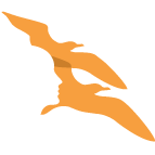 Reddin Consultants