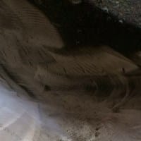 diego ramos rodriguez