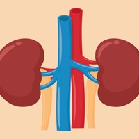 Kidney Treatment in India