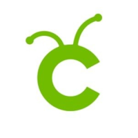 Cricut Setup