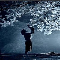 Dr. Alvaro Torra Pardo