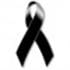 Luciel Lluveres Mendez