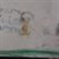 Marisol Martínez Moreno