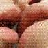 elypce