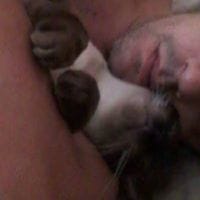 Juan Alfredo Palomino Alvite