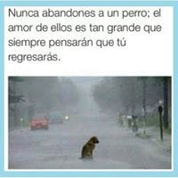 Eugenio Martin Gomez