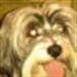 Chiky Rous