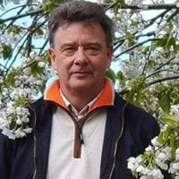Fernando Tal Tal