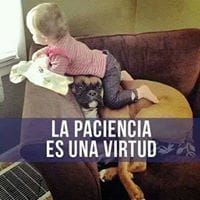 Andres Gullón Mendez