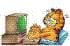 garfield2007