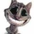 gatomefis