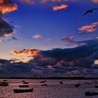 Javier Archidona