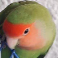 Jose Aguado Rodriguez