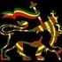 rasta nelson jah acosta