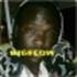 Amadeo Bigflow