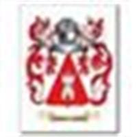 Carlos Hinrichsen Silva