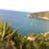 Jordi Llata Albaladejo