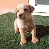 Isabel Maria Porlan Perez