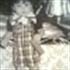 David Llerena