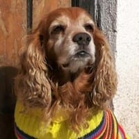 Jacqueline Marquez Zapata