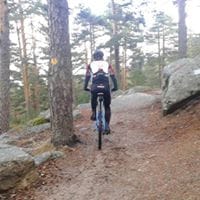 Javier Marín Seseña